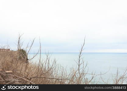 Sea in Winter