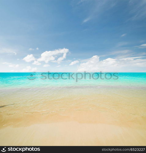 Sea morning panorama. Sea morning panorama. Tropical composition. Sea morning panorama