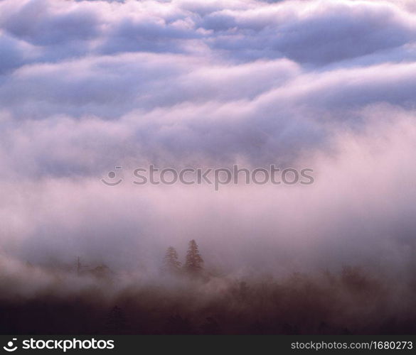 Sea of clouds