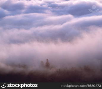 Sea of clouds