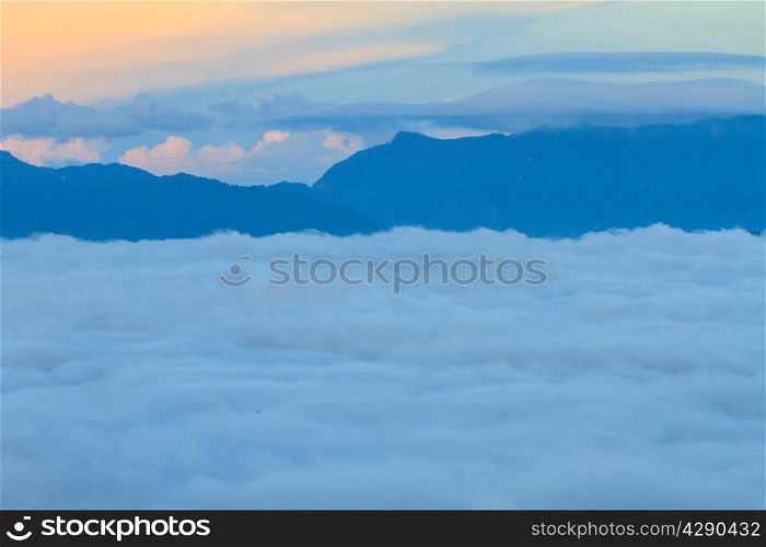 sea of fog with forests as foreground on mountain