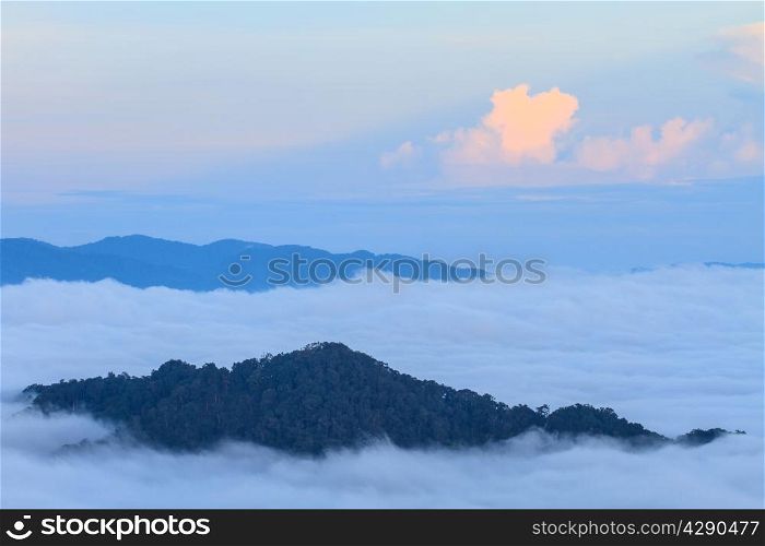 sea of fog with forests as foreground on mountain