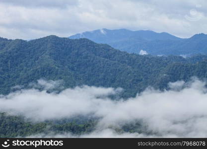 sea of fog with forests as foreground on mountain