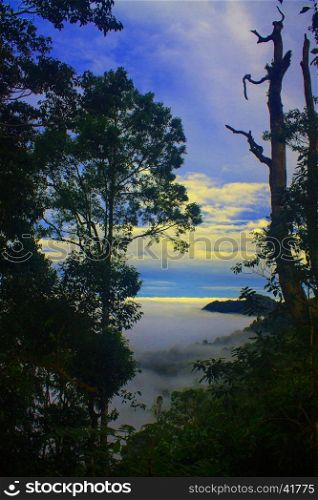 sea of fog with forests as foreground. This place is in the Kaeng Krachan national park, Thailand