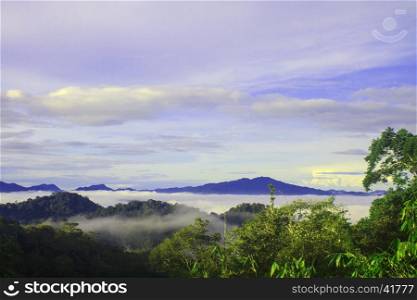sea of fog with forests as foreground. This place is in the Kaeng Krachan national park, Thailand