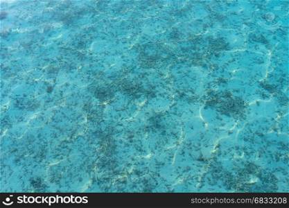 sea or ocean with transparent blue water