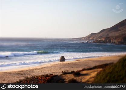 Sea Otter Beach, Carmel-By-The-Sea, California, tilt shift effect