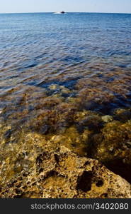 sea rocky bay. Crimea, Ukraine