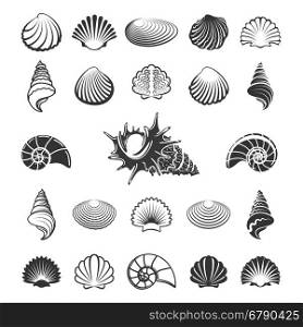 Sea shell silhouettes. Sea shell silhouettes. Marine sand shells icons like nautilus or scallop vector illustration