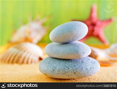 sea shells and stones on the yellow sand