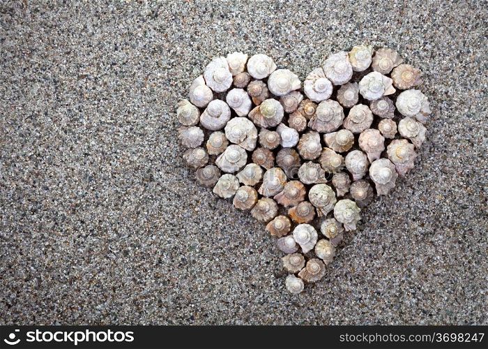 Sea shells heart on sandy beach background. Summer composition with copy space. Top view&#xA;