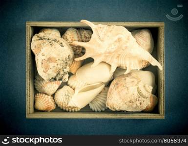 Sea shells in a wooden box. Toned