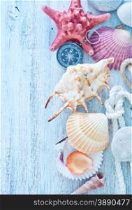 sea shells on the wooden boards, summer background