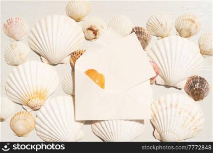 Sea shells styled stock scene, template for wedding invitations or stylish presentation with copy space on blank envelope. Sea shells styled stock scene