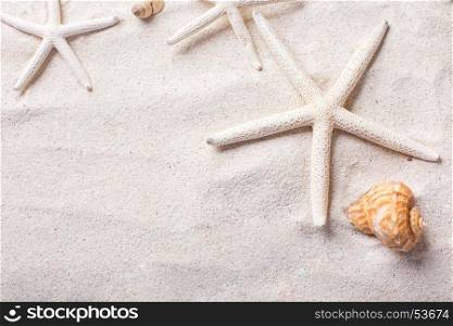 sea shells with sand as background and copyspace, summer concept