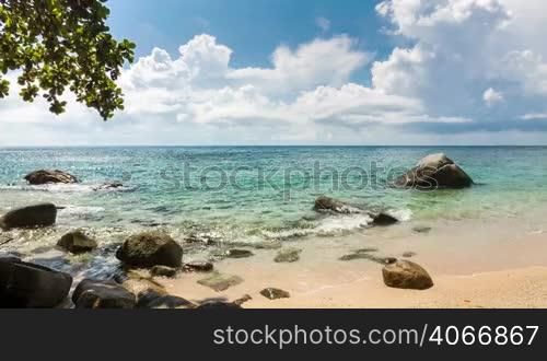 Sea shore with stones on the beach and green tree foliage