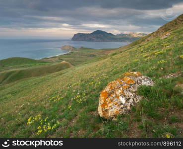 Sea spring bay. Nature composition.