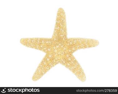 Sea star isolated over white background