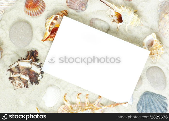 sea stars and shells an blank postcard on sands