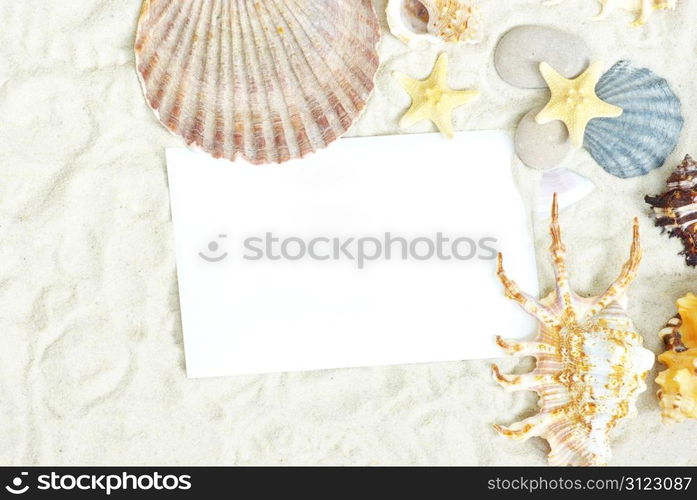 sea stars and shells an blank postcard on sands