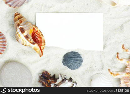 sea stars and shells an blank postcard on sands