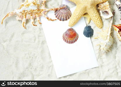 sea stars and shells an blank postcard on sands