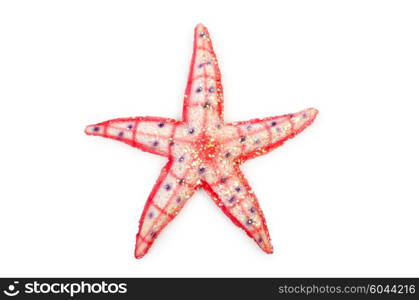 Sea stars isolated on the white