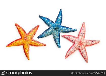 Sea stars isolated on the white
