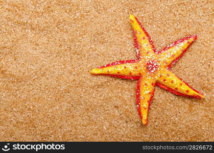 Sea stars on the sand