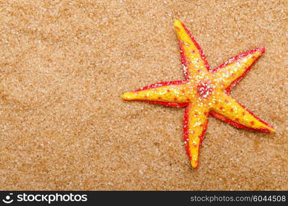 Sea stars on the sand