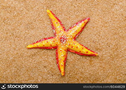 Sea stars on the sand