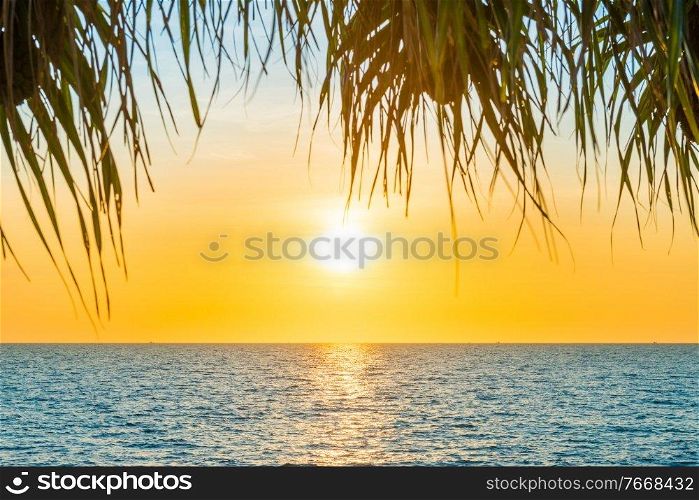 Sea sunset landscape with sunset sun on blue sea and palm tree
