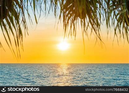 Sea sunset landscape with sunset sun on blue sea and palm tree