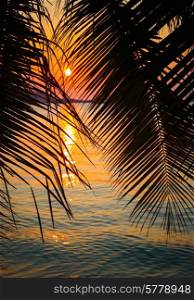 Sea Sunset on tropical beach