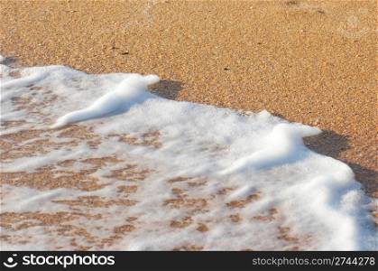 Sea surf foam on coastline sand