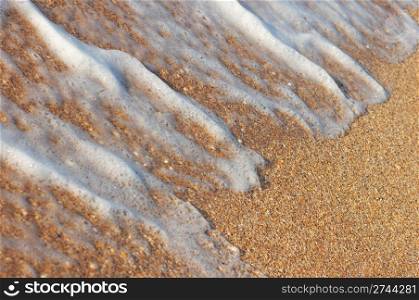 Sea surf foam on golden coastline sand