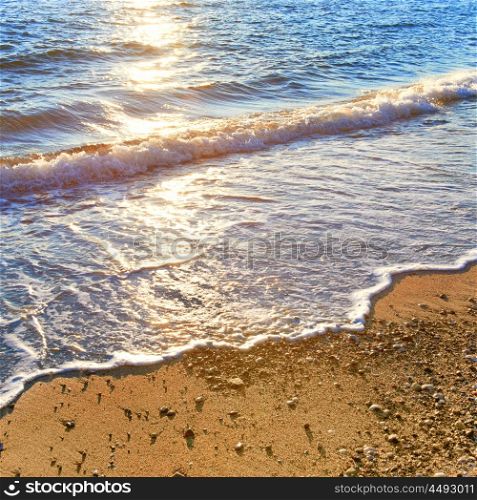 Sea surf on the sunny beach with golden sand