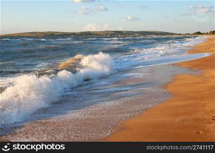 Sea surf wave and sandy beach
