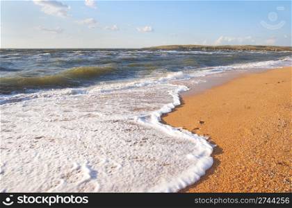 Sea surf wave break on coastline