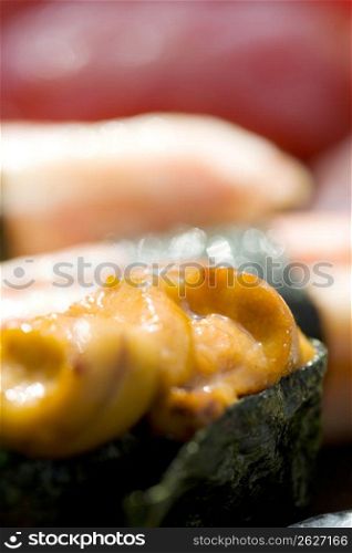 Sea urchin roll