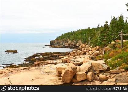 Sea view at Acadia National Park, Maine, USA.