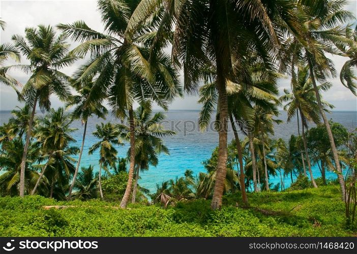 Sea view from of the hill with palms area on La Digue island, Seychelles, Africa