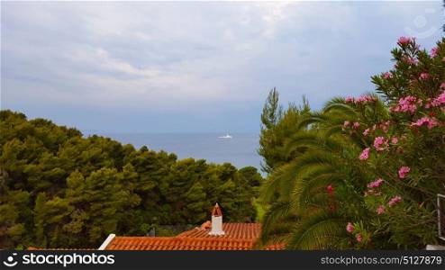 Sea view on a beautiful island of Skiathos in Greece, summer day in June