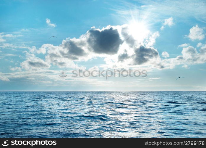 Sea with blue water, sky and clouds. Flying seagulls above the seascape