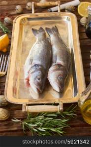 Seabass. Two raw Seabass fish on silver tray