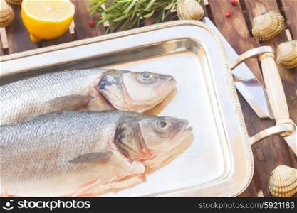 Seabass. Two seabass raw fish on silver tray
