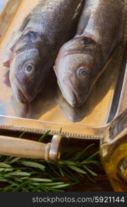 Seabass. Two Seabass raw fish on silver tray close up