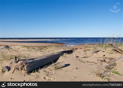 seaboard White Sea .Russia, Arkhangelsk region.