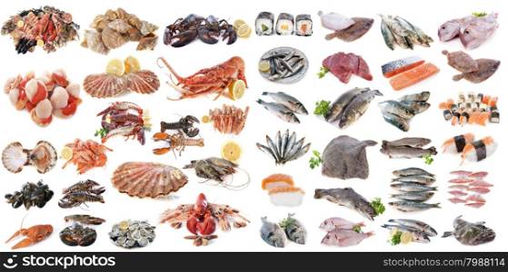 seafood, fishes and shellfish in front of white background