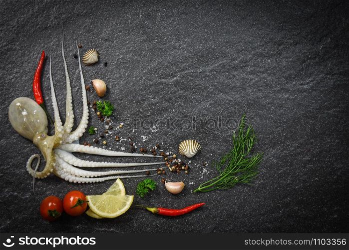 Seafood fresh squid octopus raw ocean gourmet dinner with herbs and spices with lemon tomato chilli garlic and dill on dark background